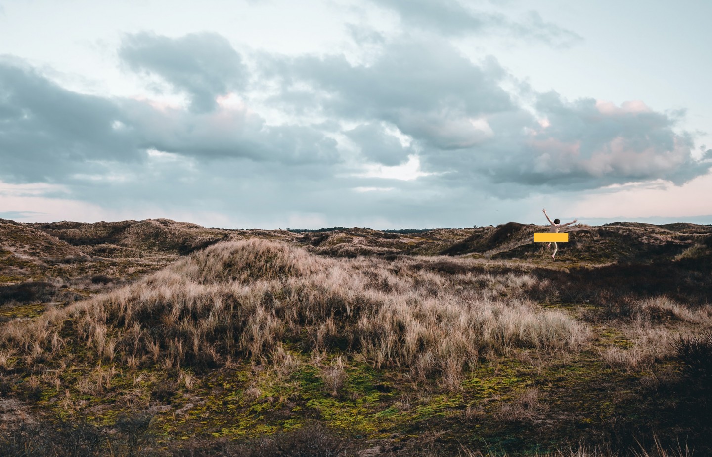Rediscover the Wild Nature of Business Transformation in an Unprecedented Era of Change